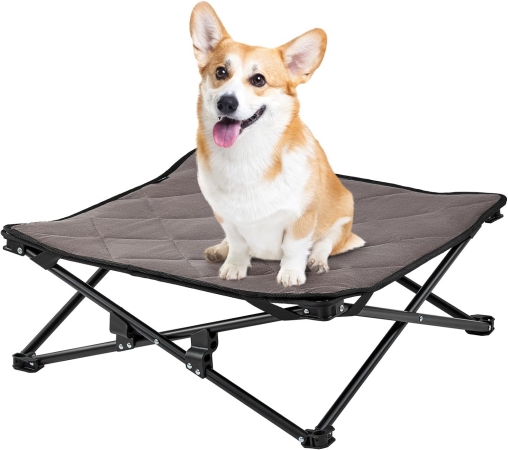 small elevated dog bed