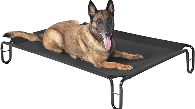 dog elevated bed
