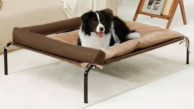 elevated dog bed
