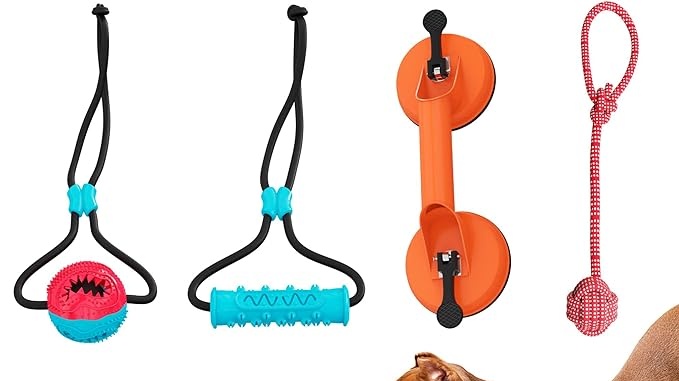 dog hanging toys