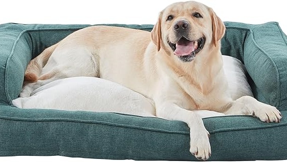 sofa bed for dogs